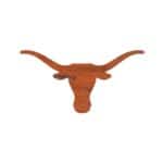 Texas Longhorn Sign