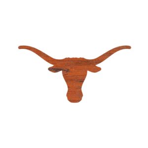 Texas Longhorn Sign