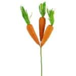 Carrot Pick