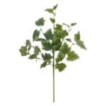 Grape Ivy Flower Pick