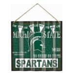 Michigan State Sign