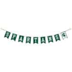 Michigan State Banner