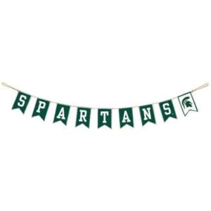 Michigan State Banner