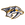 Nashville Predators