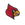 Louisville Cardinals
