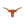 Texas Longhorns