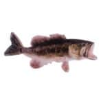 Large Mouth Bass Sign MD1682