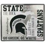 Michigan State Sign