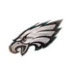 Philadelphia Eagles Wreath Supplies