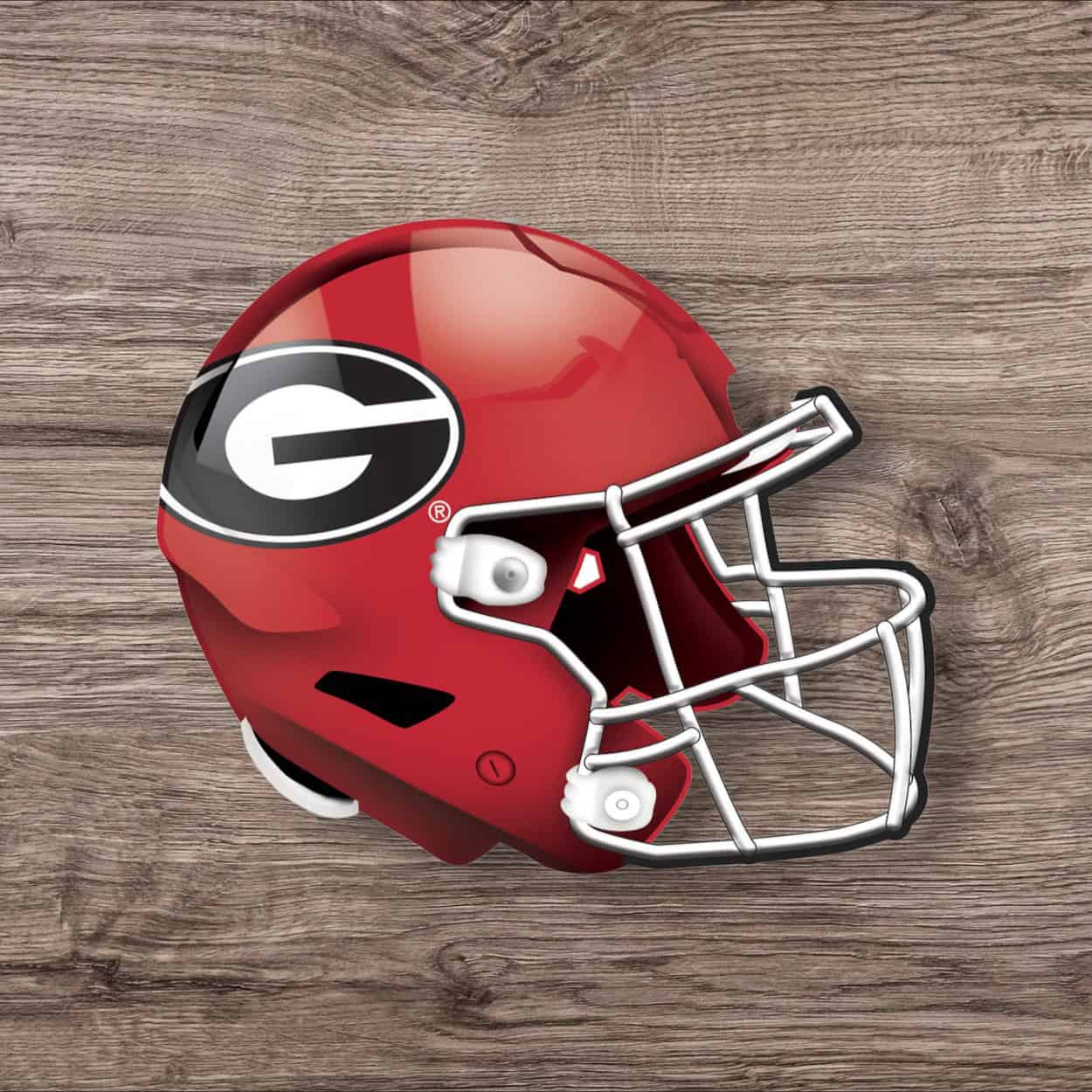 Georgia Bulldogs Football Helmet Sign