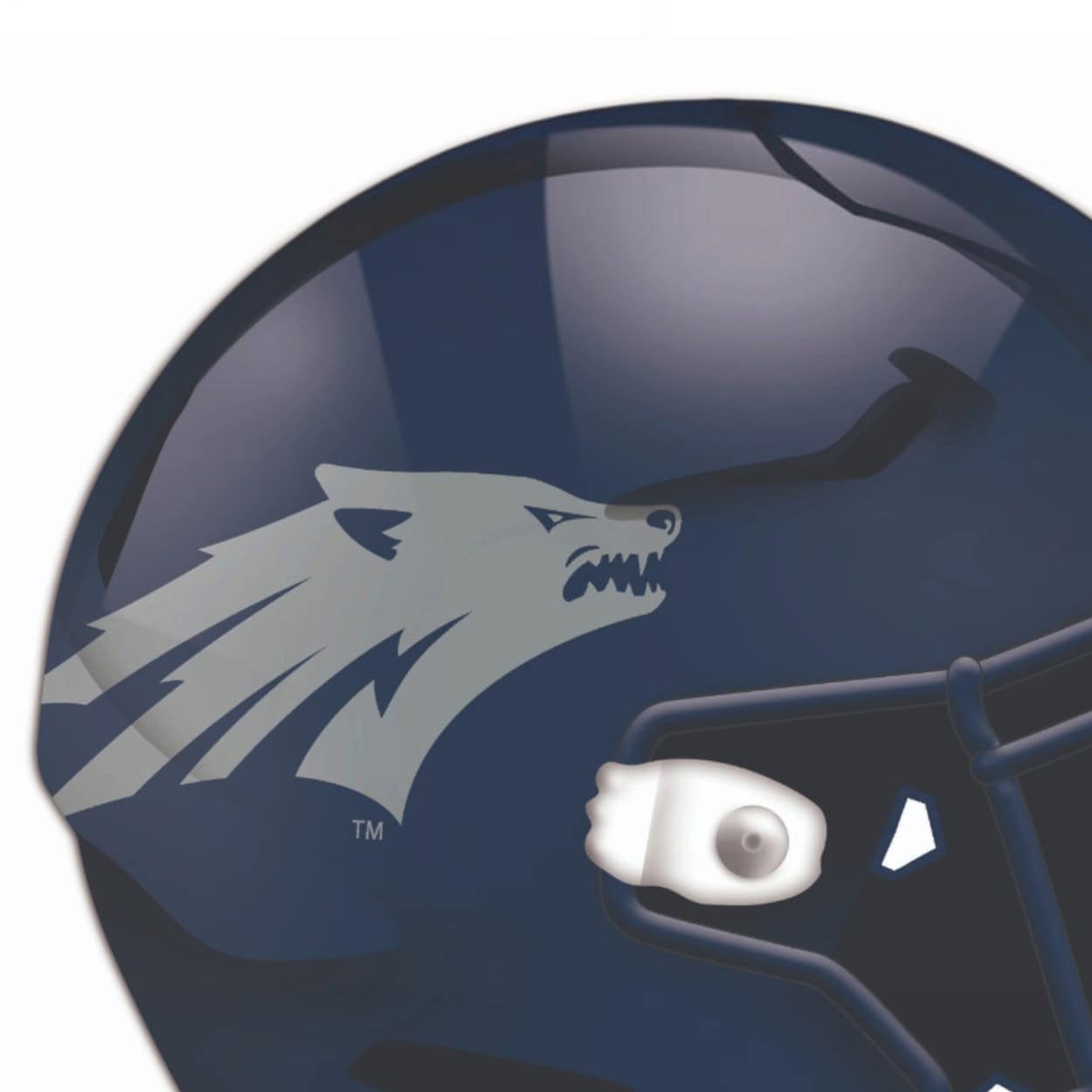 Nevada Football Helmet Sign - Image 5